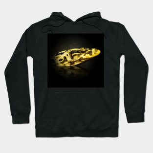 Monitor lizard Hoodie